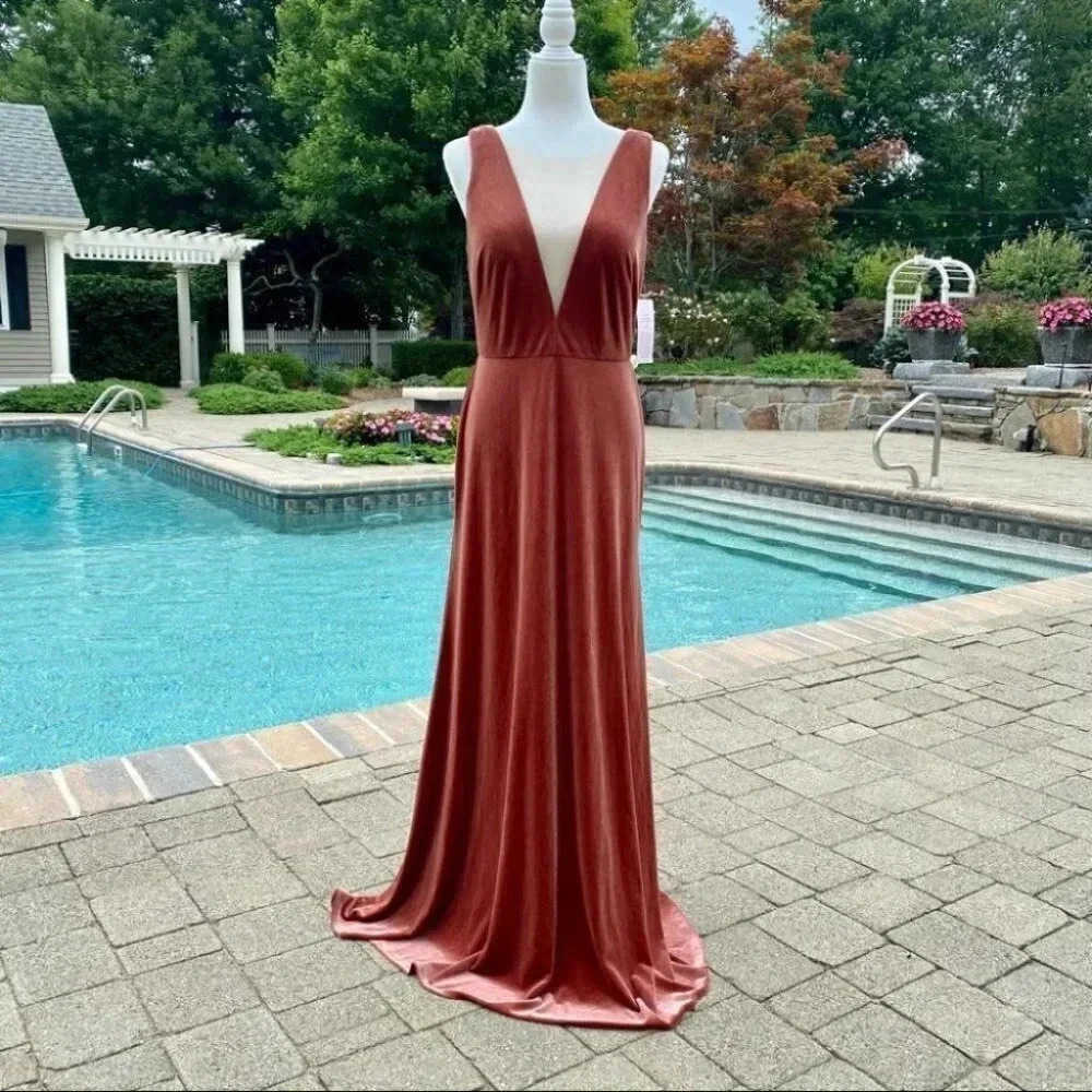 NWT Jenny Yoo Logan Velvet Maxi Dress English Rose 10